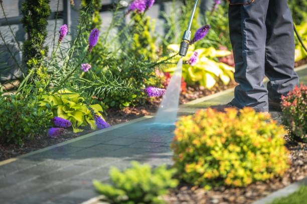 Best Dumpster Area Cleaning  in Southgate, MI