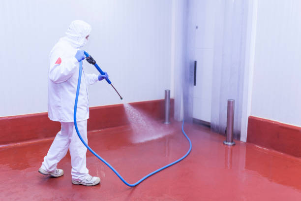 Best Sidewalk and Walkway Cleaning  in Southgate, MI